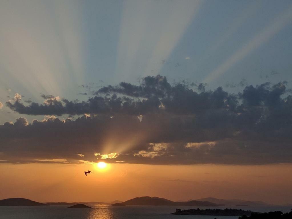 Beach Apartment Kate With Sea View, Balcony And Parking, Murter, Dalmatia 외부 사진